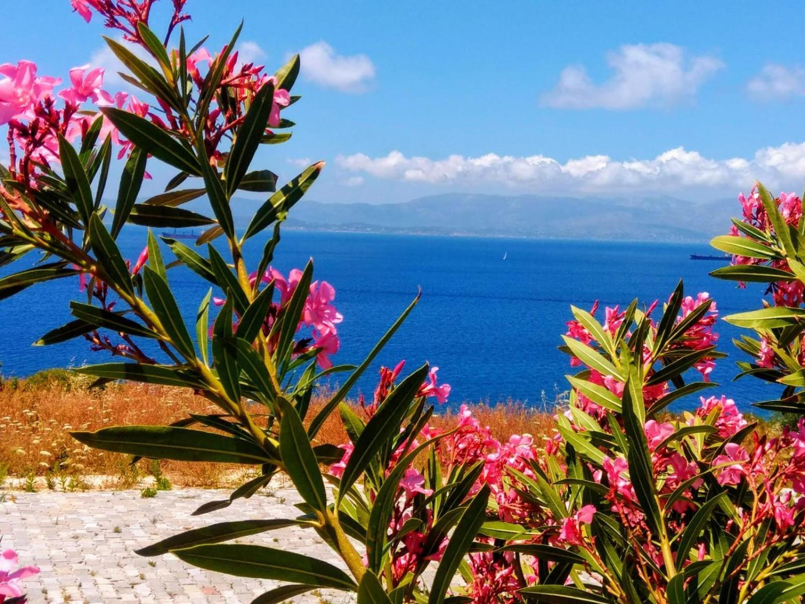 Vilă Mavi Panorama Çeşme