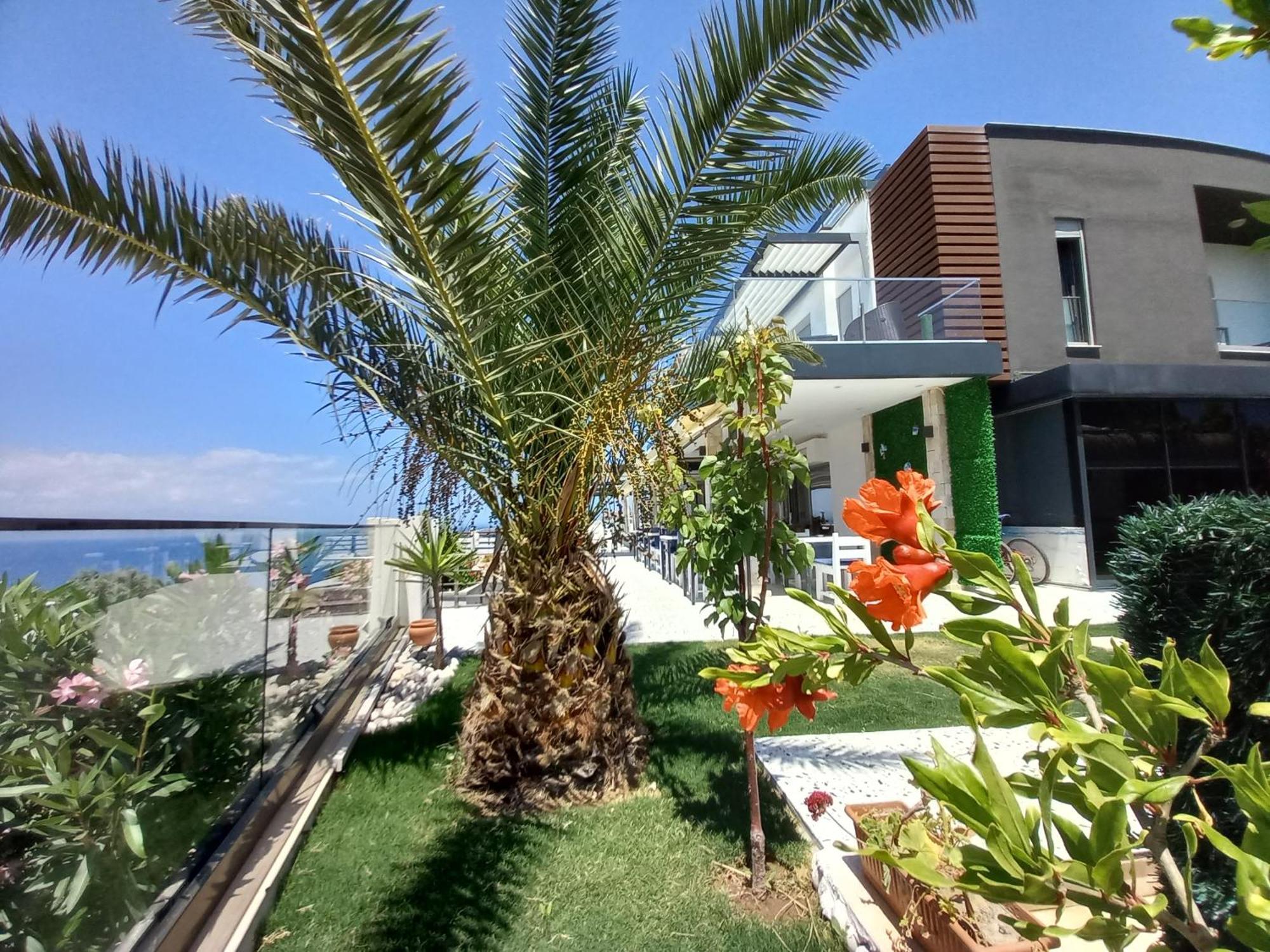 Vilă Mavi Panorama Çeşme
